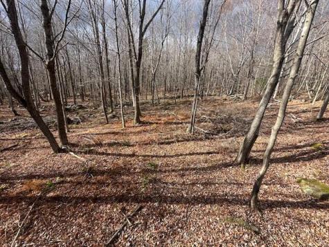 801 Bog Road New Portland ME 04961