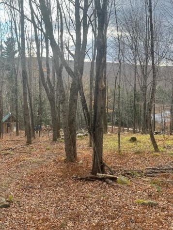 801 Bog Road New Portland ME 04961