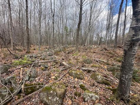 801 Bog Road New Portland ME 04961