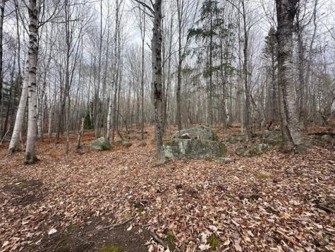 801 Bog Road New Portland ME 04961