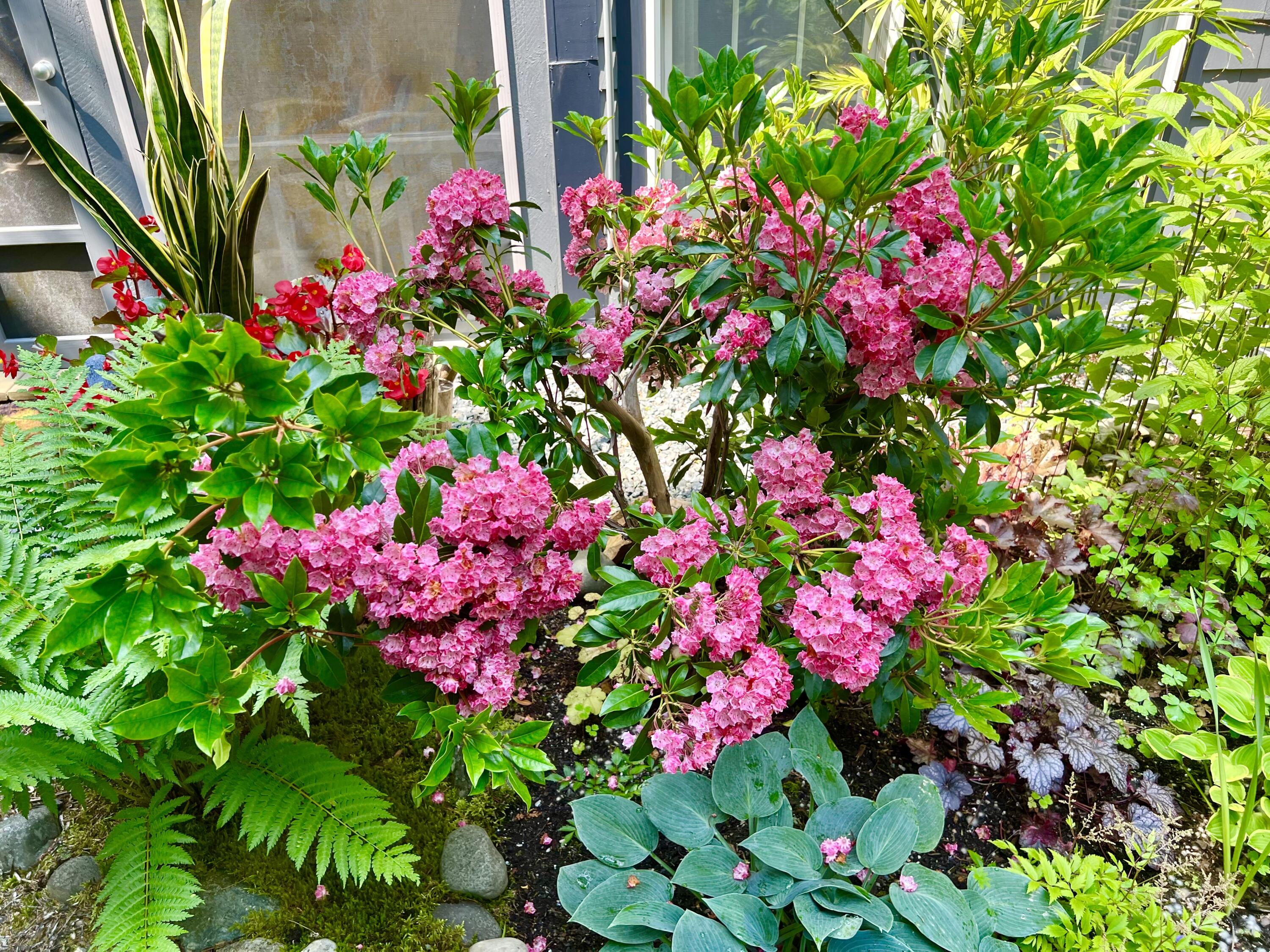 1 Alexandra Road Southwest Harbor ME 04679