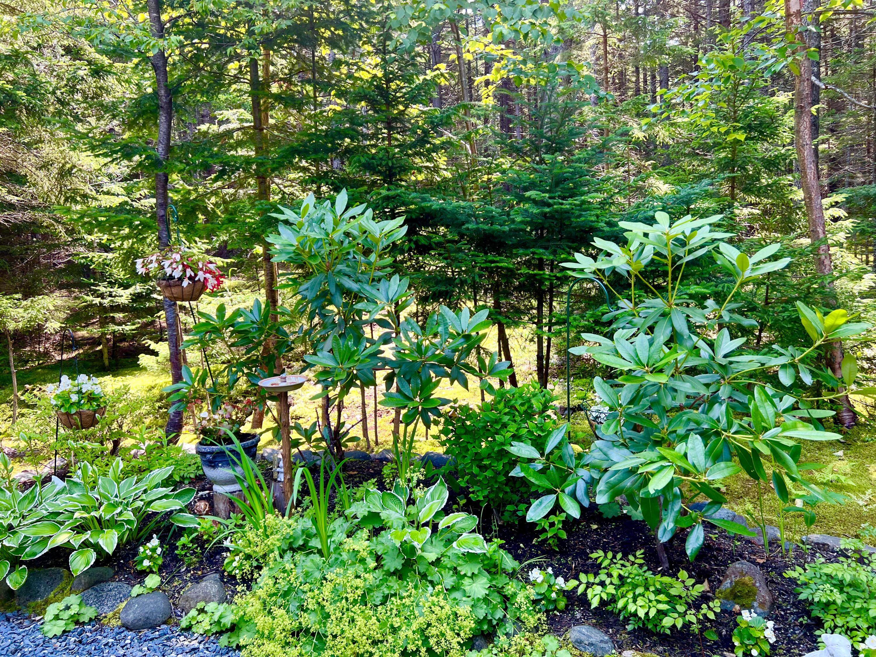 1 Alexandra Road Southwest Harbor ME 04679