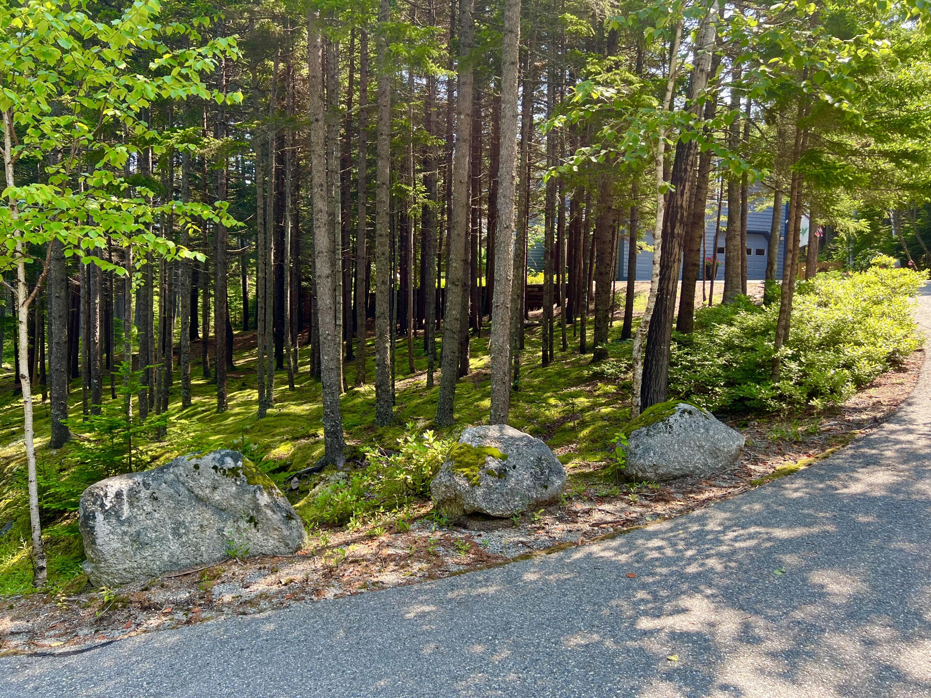 1 Alexandra Road Southwest Harbor ME 04679