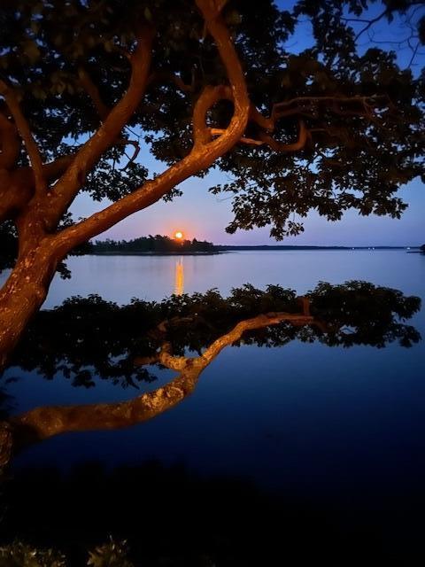 71 Merganser Way Freeport ME 04032