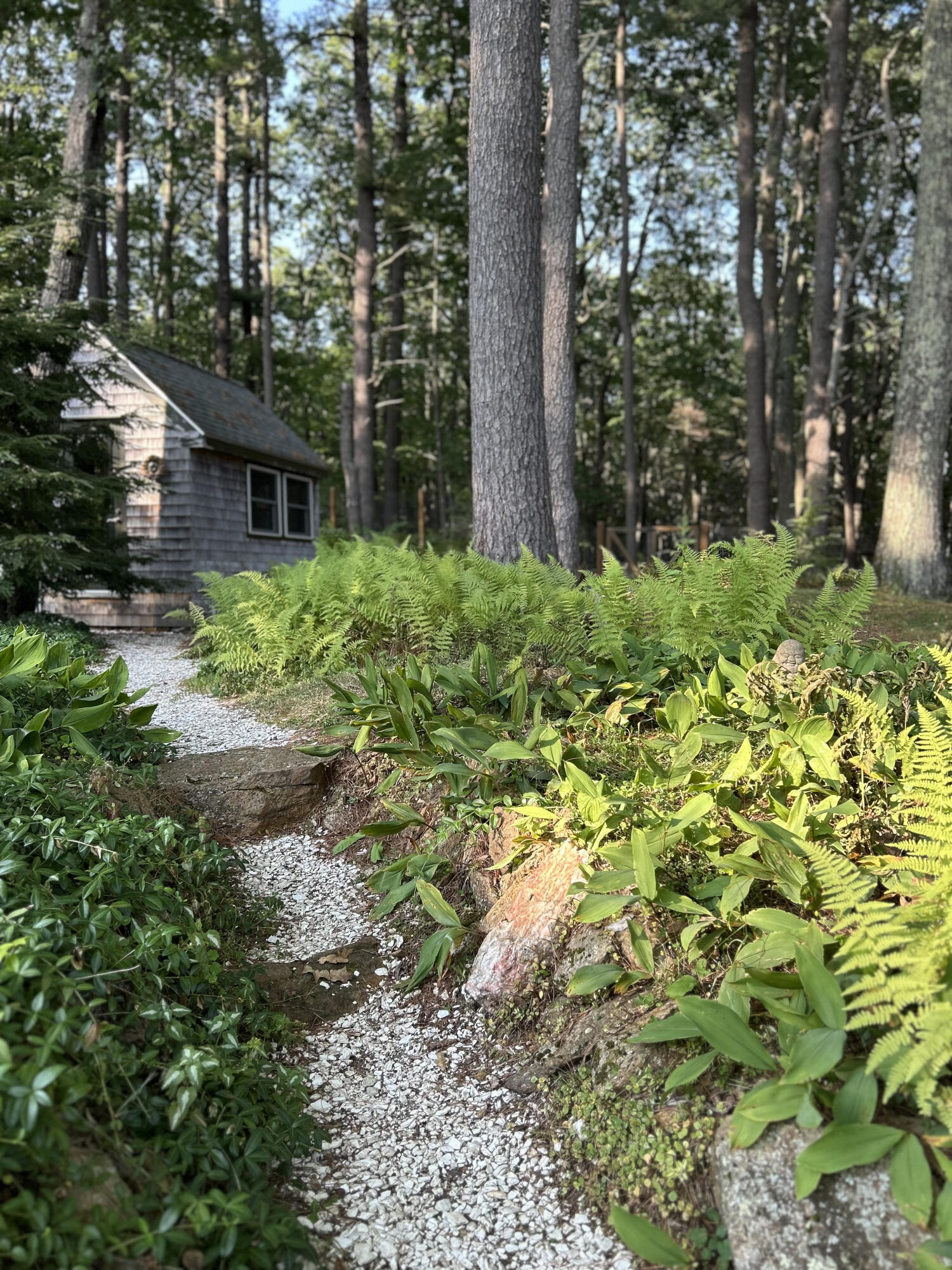 21 Johnson Road Falmouth ME 04105