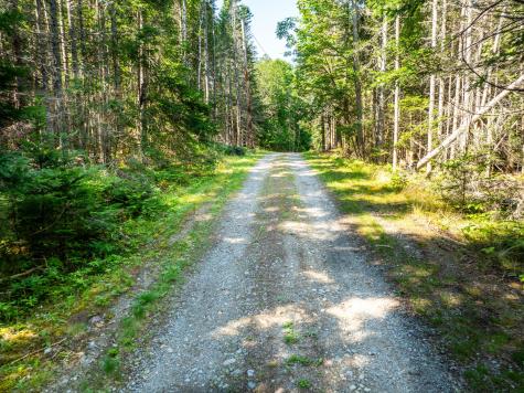 852 Leighton Point Road Pembroke ME 04666