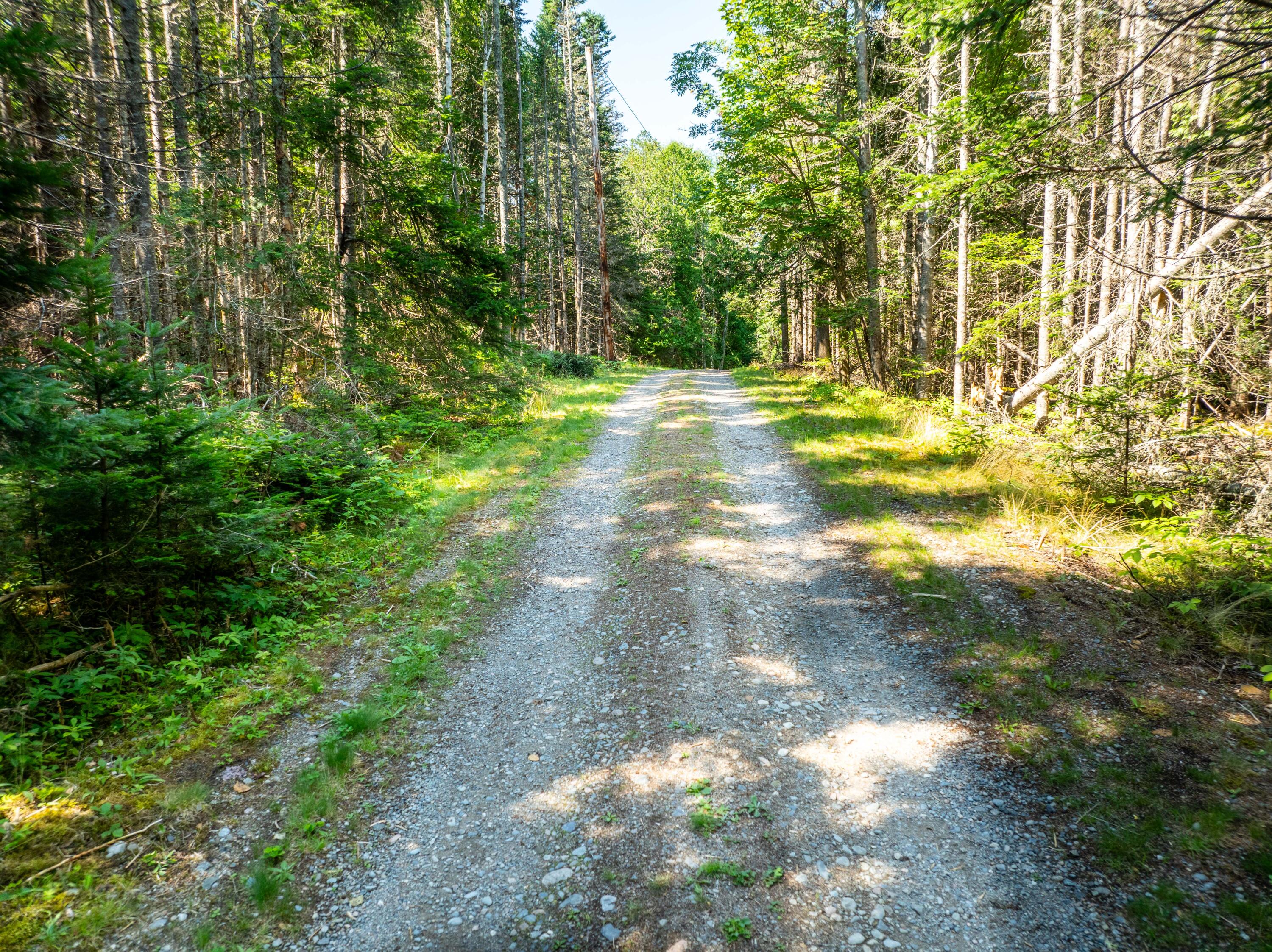 852 Leighton Point Road Pembroke ME 04666