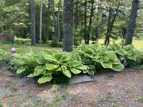 969 Surry Road Surry ME 04684