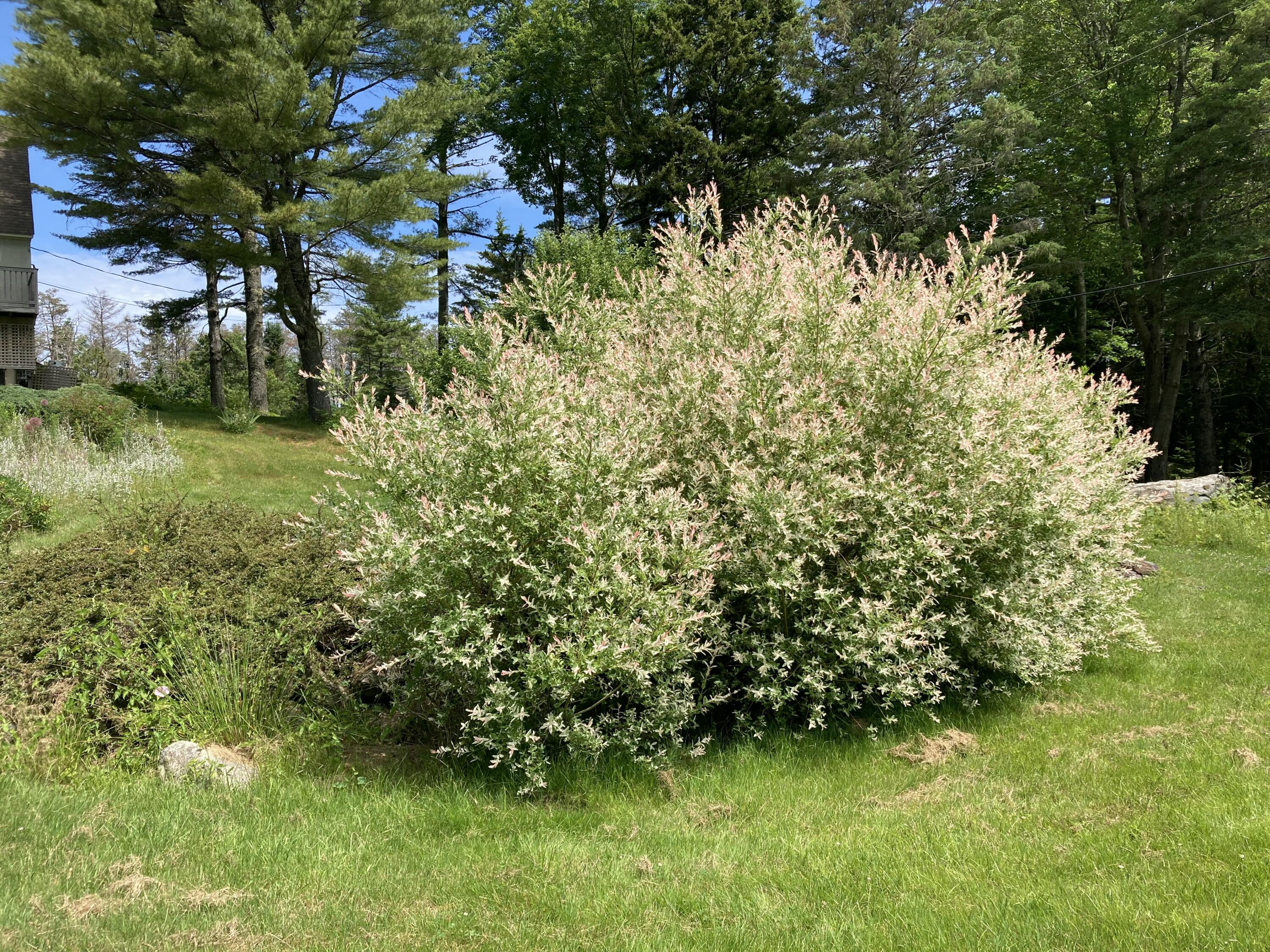 969 Surry Road Surry ME 04684