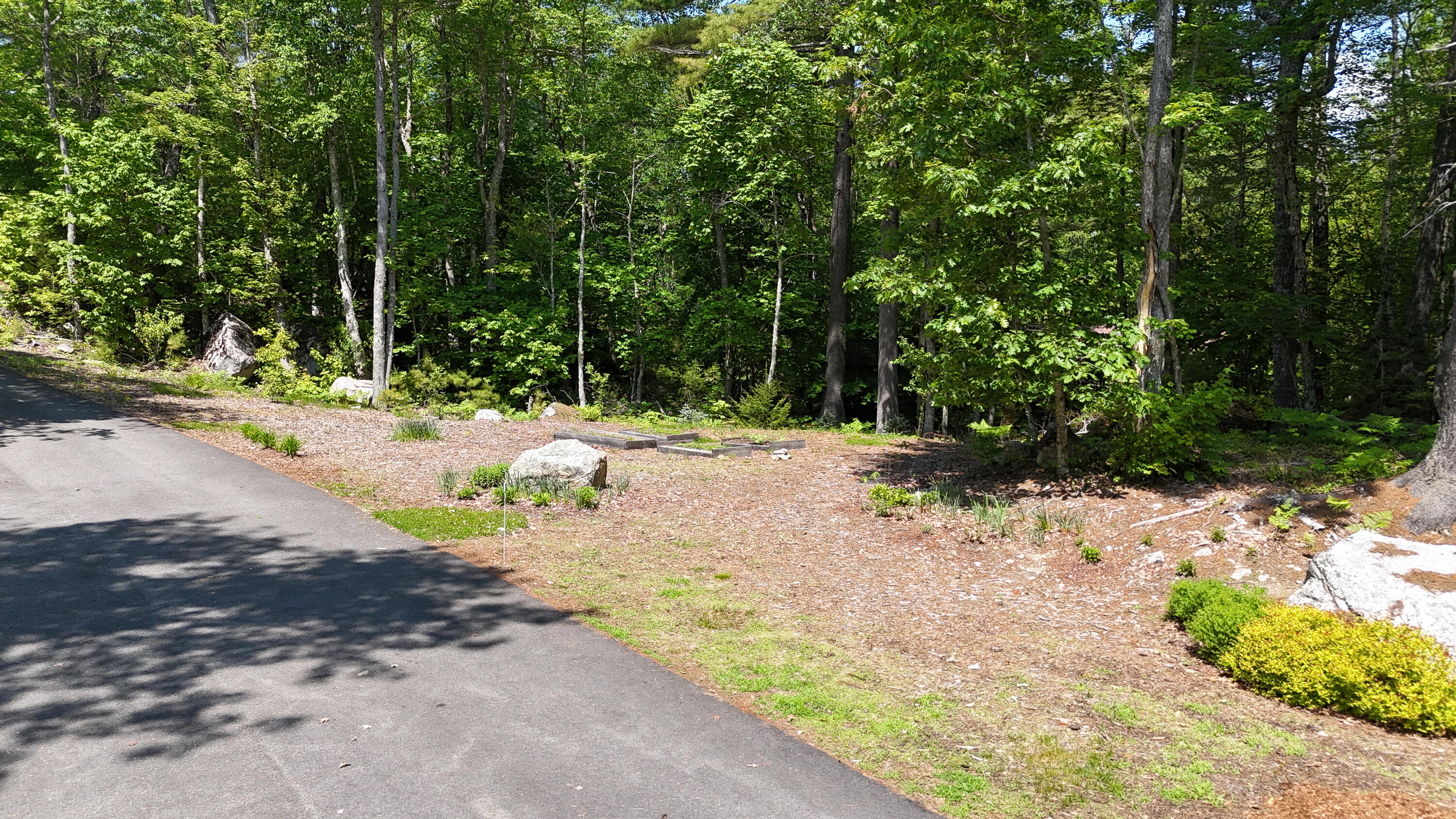 51 Short Point Way Orland ME 04472