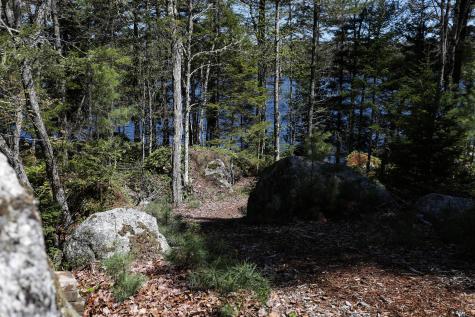 51 Short Point Way Orland ME 04472