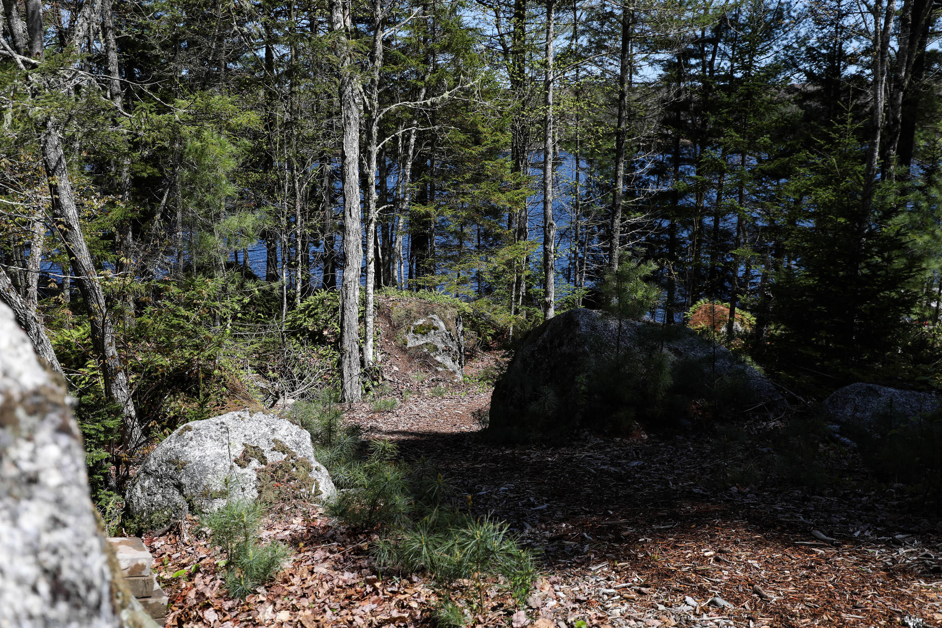 51 Short Point Way Orland ME 04472