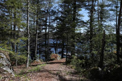 51 Short Point Way Orland ME 04472