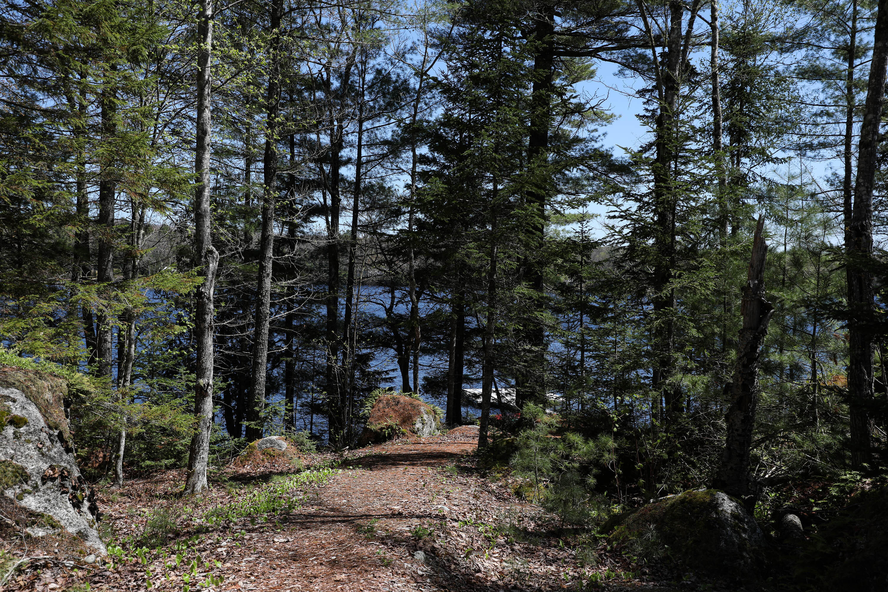 51 Short Point Way Orland ME 04472