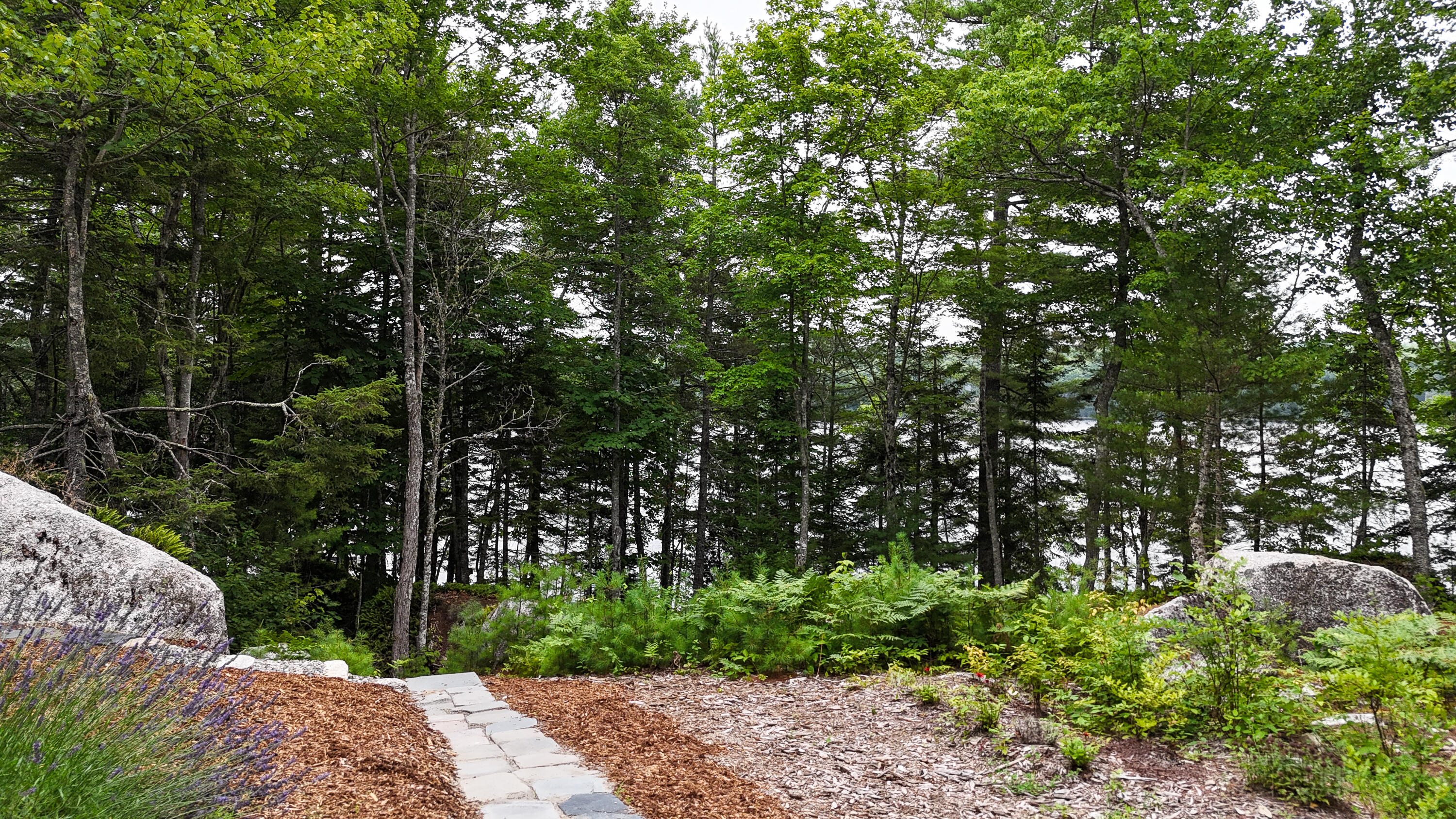 51 Short Point Way Orland ME 04472