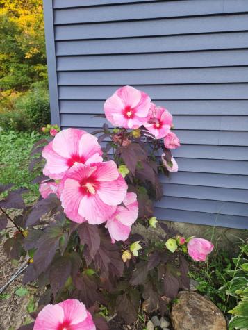 3190 Middle Road Sidney ME 04330