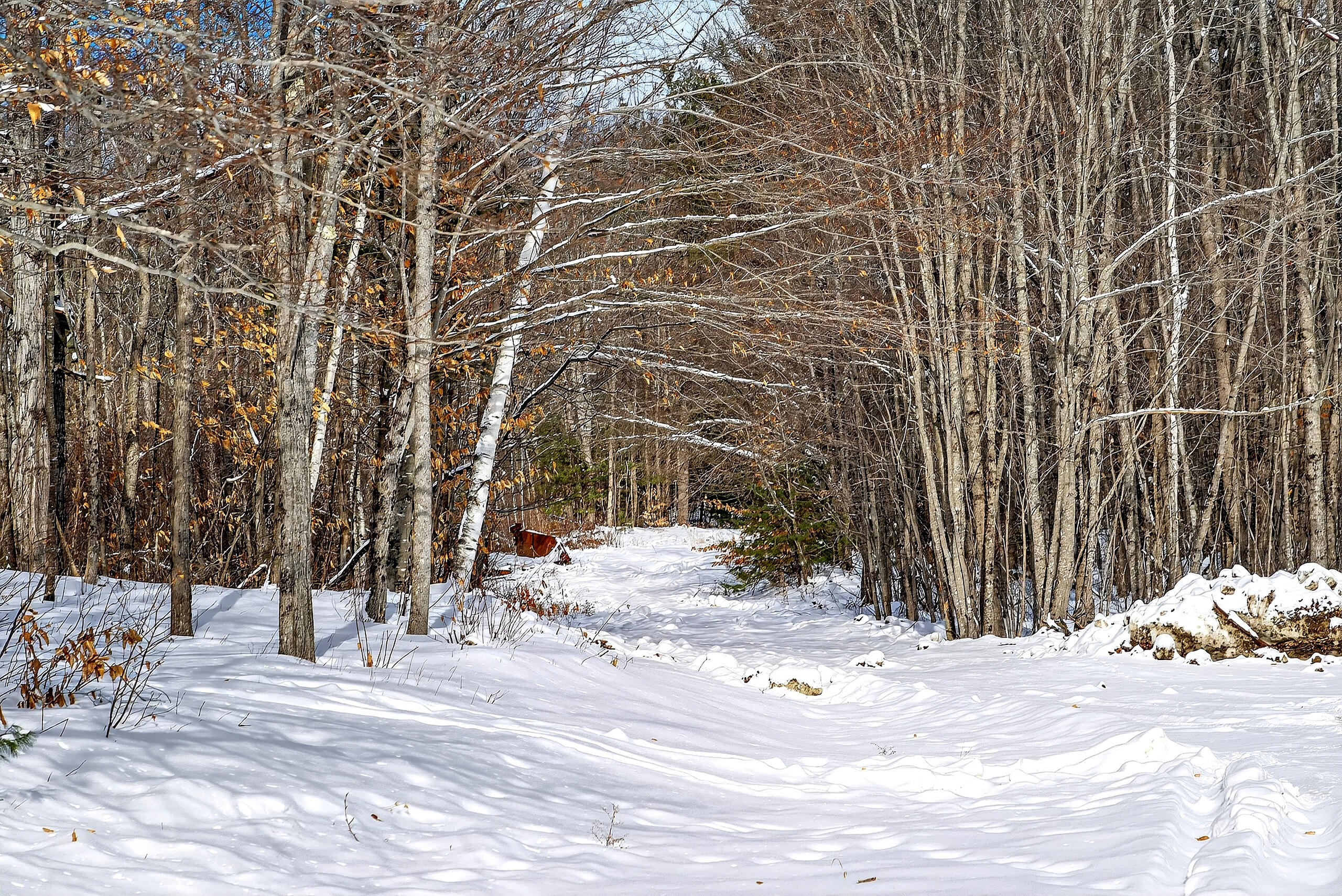 933 Bean Road Mount Vernon ME 04352