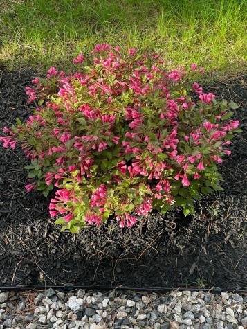 6 Christopher Street Fryeburg ME 04037