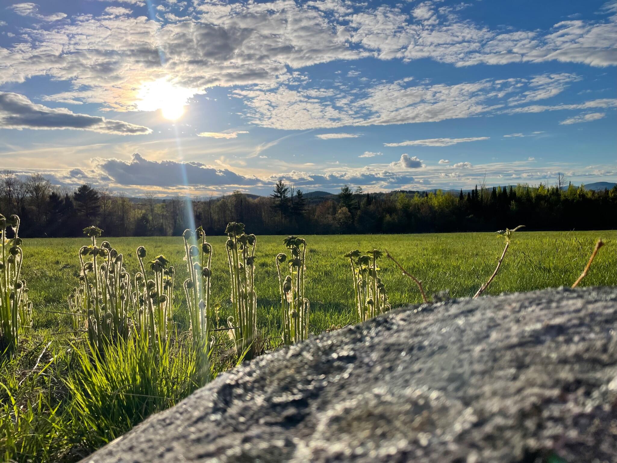 6 Christopher Street Fryeburg ME 04037