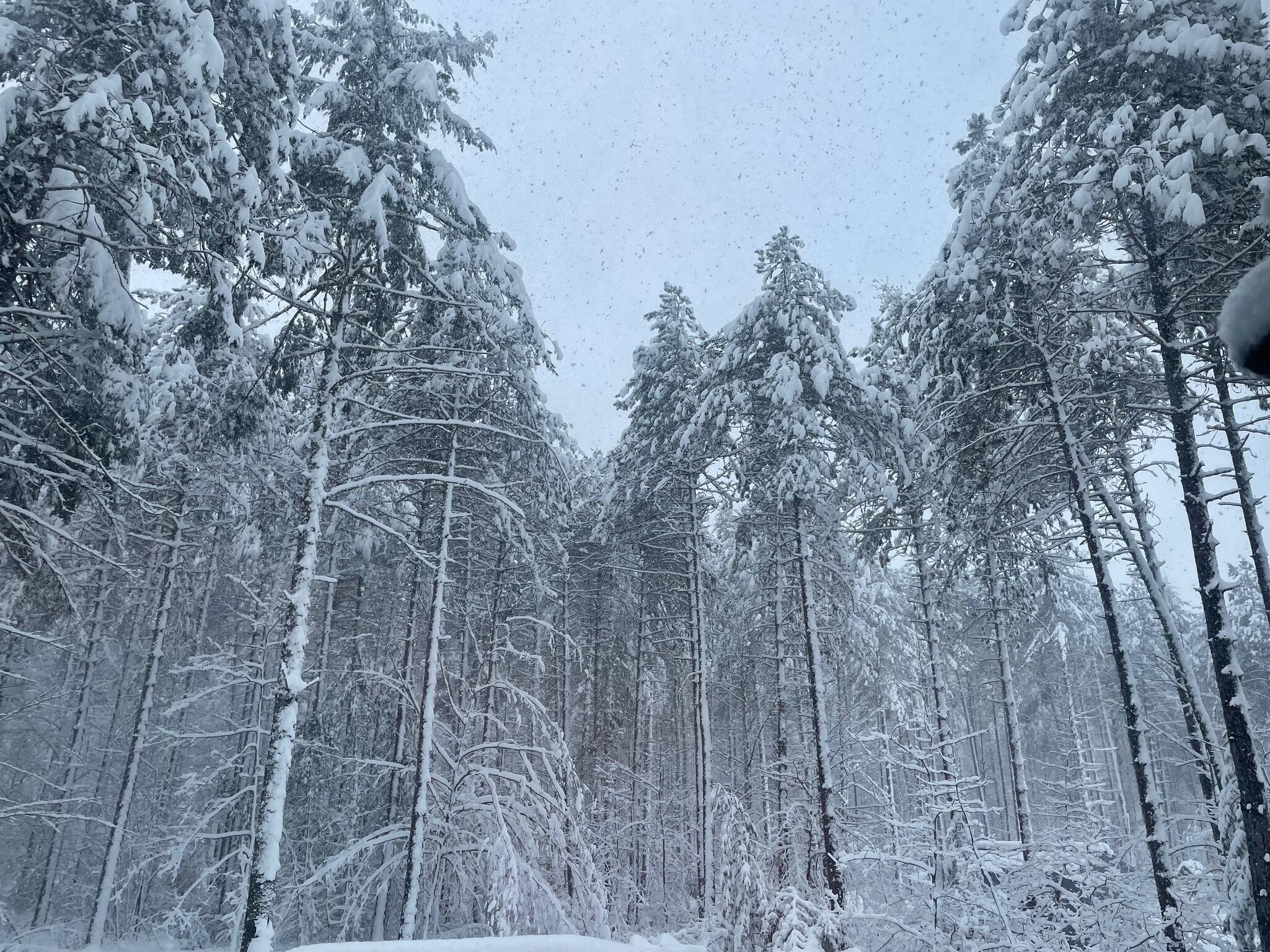 6 Christopher Street Fryeburg ME 04037