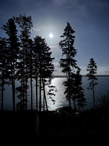 49 Peninsula Shores Road Gouldsboro ME 04624