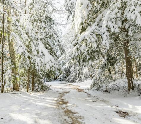 149 Carey Lane Freedom ME 04941