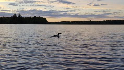 149 Carey Lane Freedom ME 04941