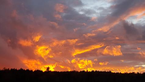 149 Carey Lane Freedom ME 04941