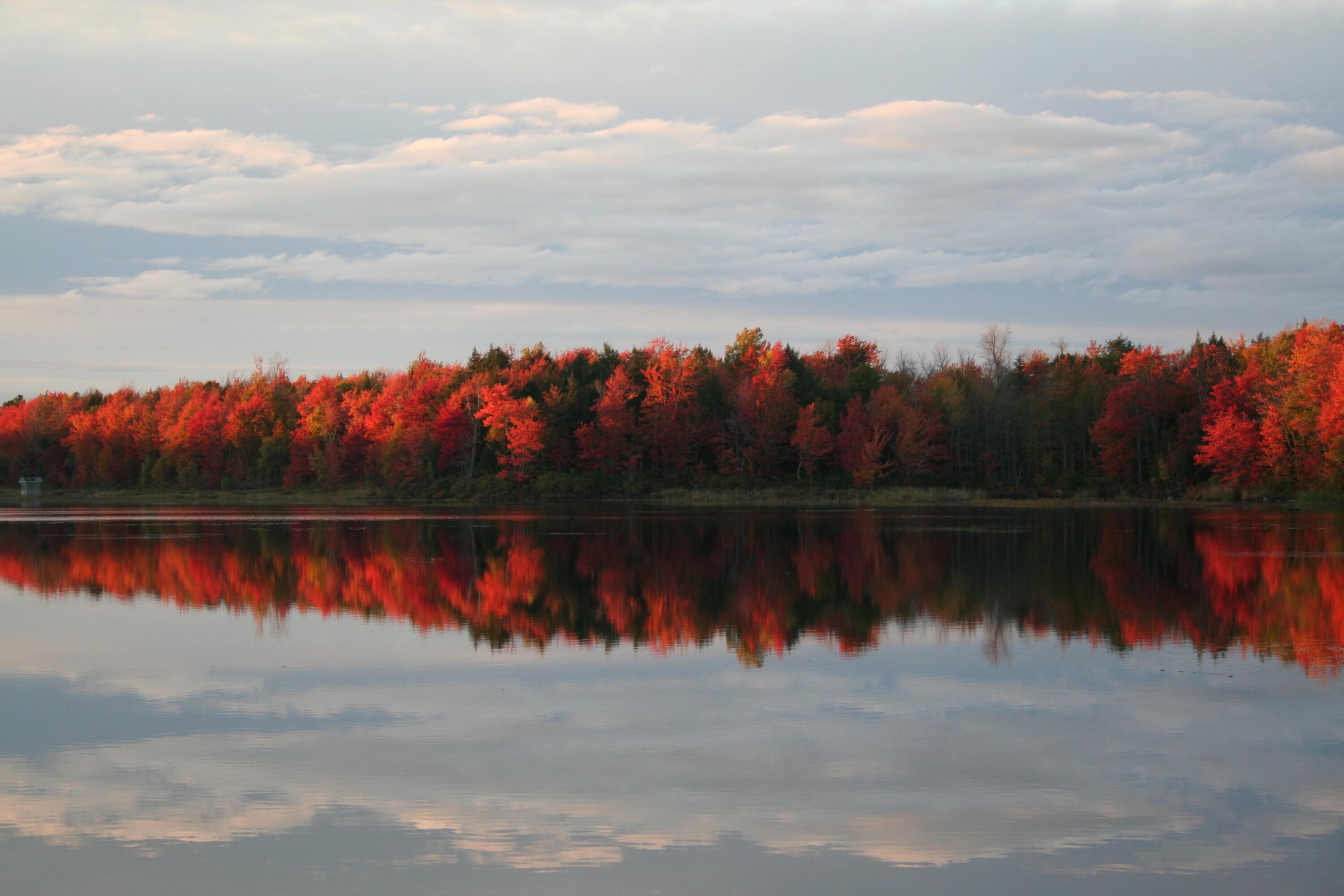 149 Carey Lane Freedom ME 04941