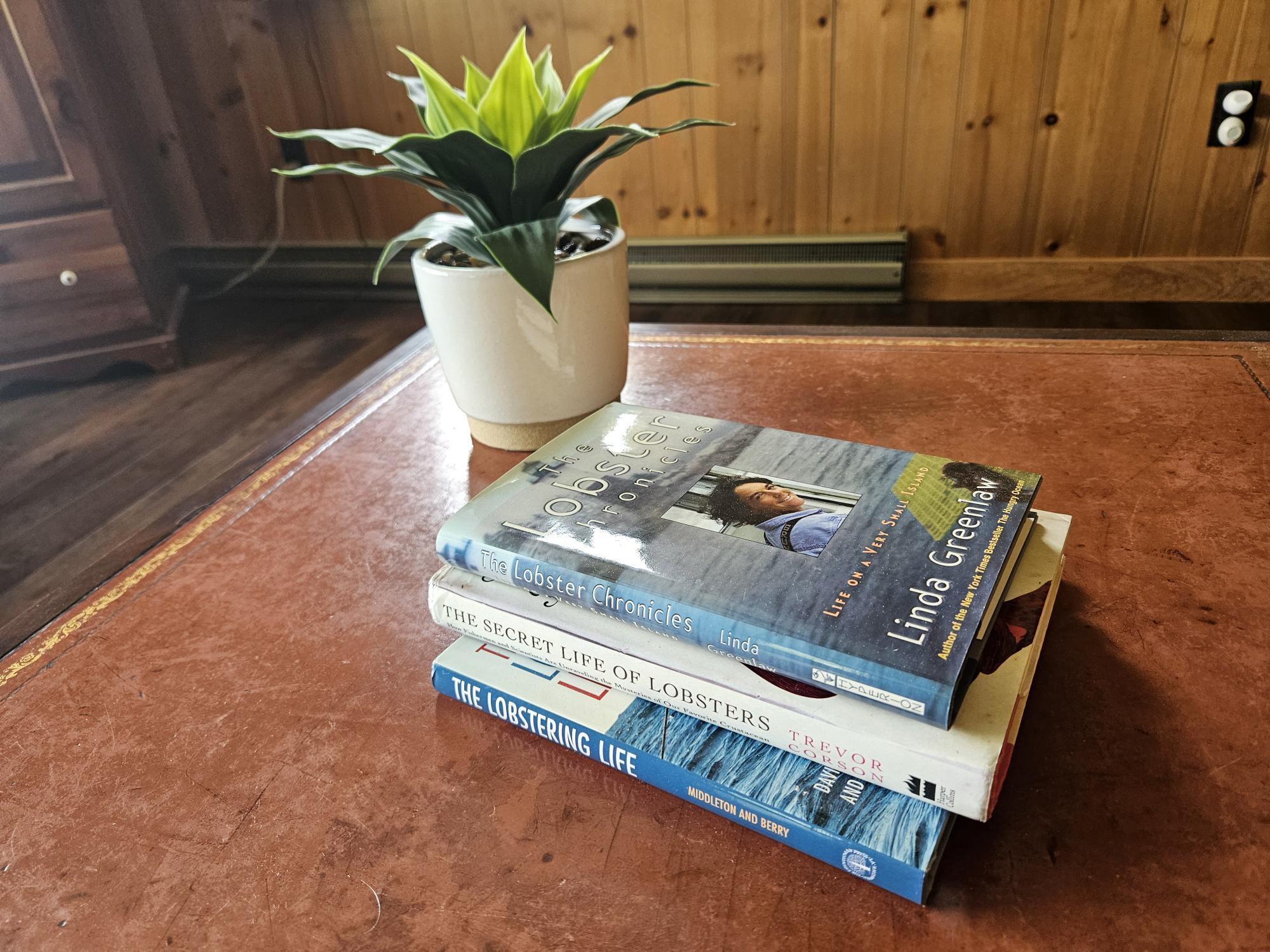 42 Old Mill Road Bristol ME 04554