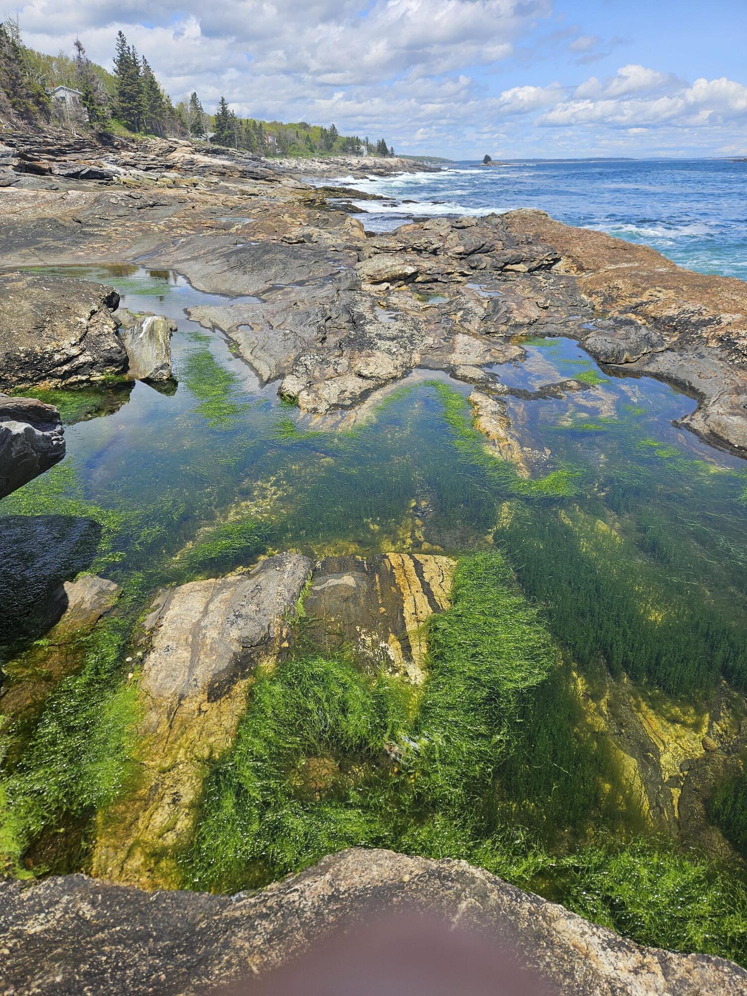 42 Old Mill Road Bristol ME 04554