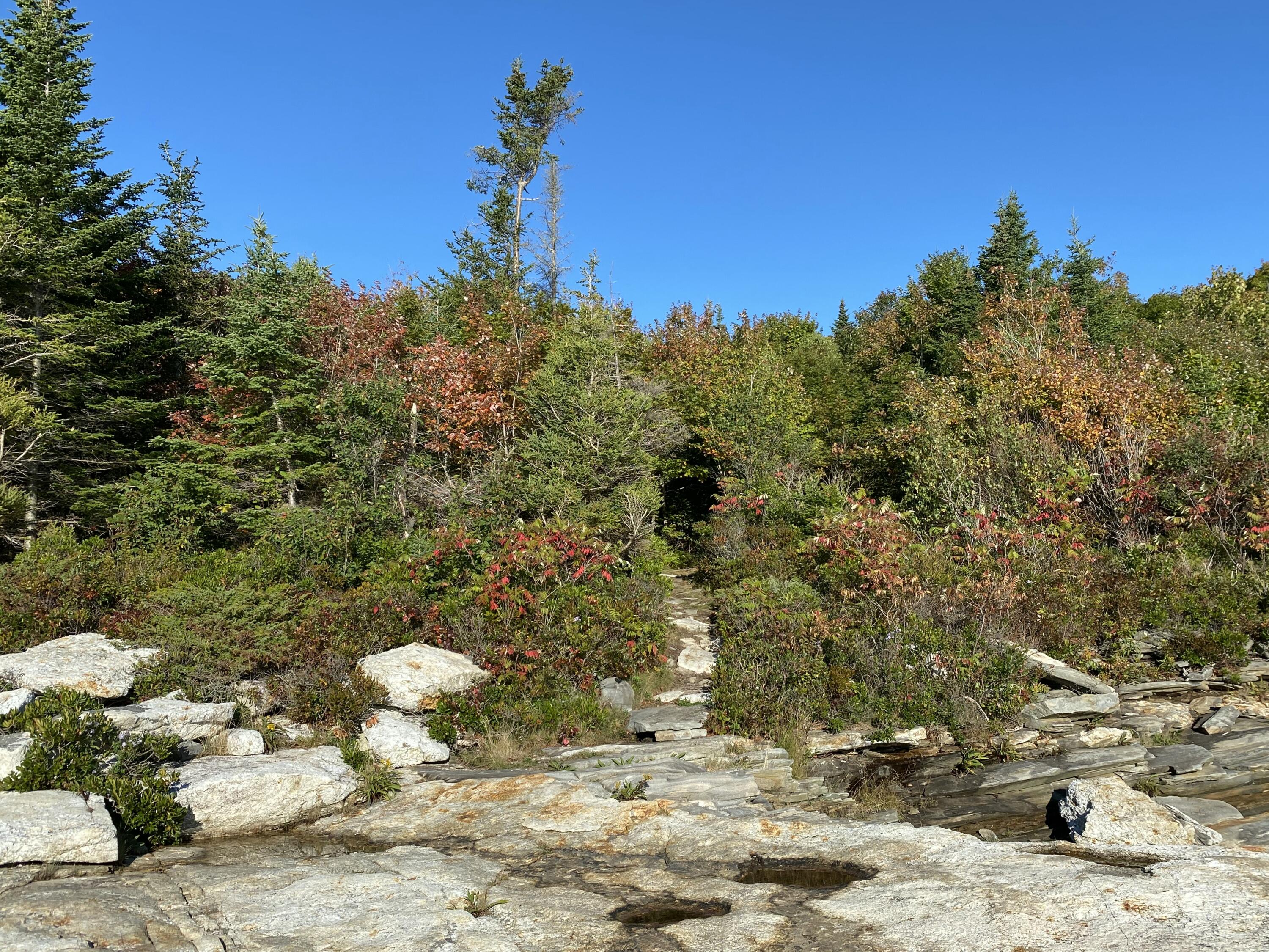 42 Old Mill Road Bristol ME 04554