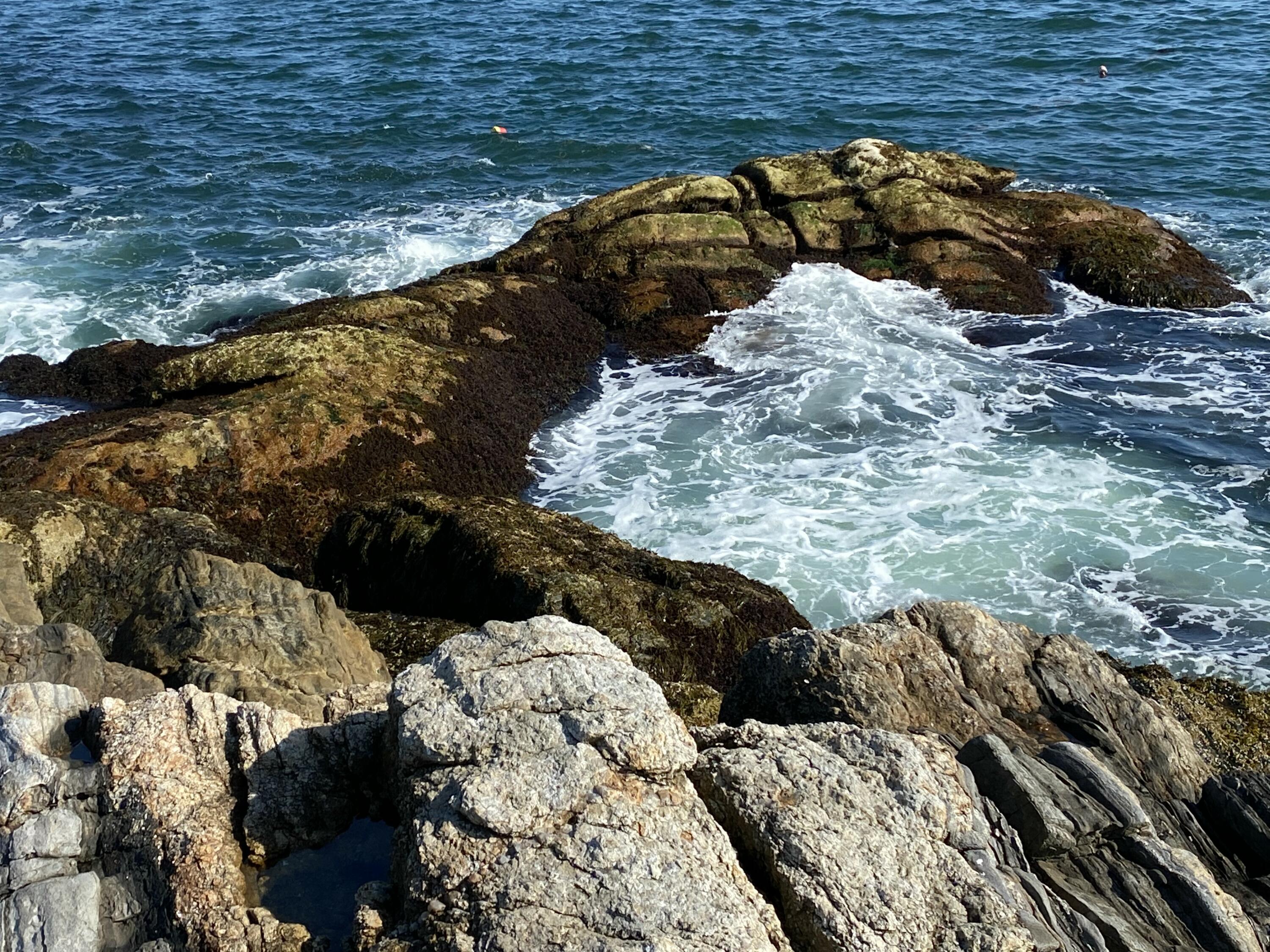 42 Old Mill Road Bristol ME 04554