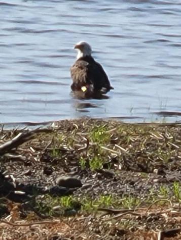 32 Sandy Beach Lane Charlotte ME 04666