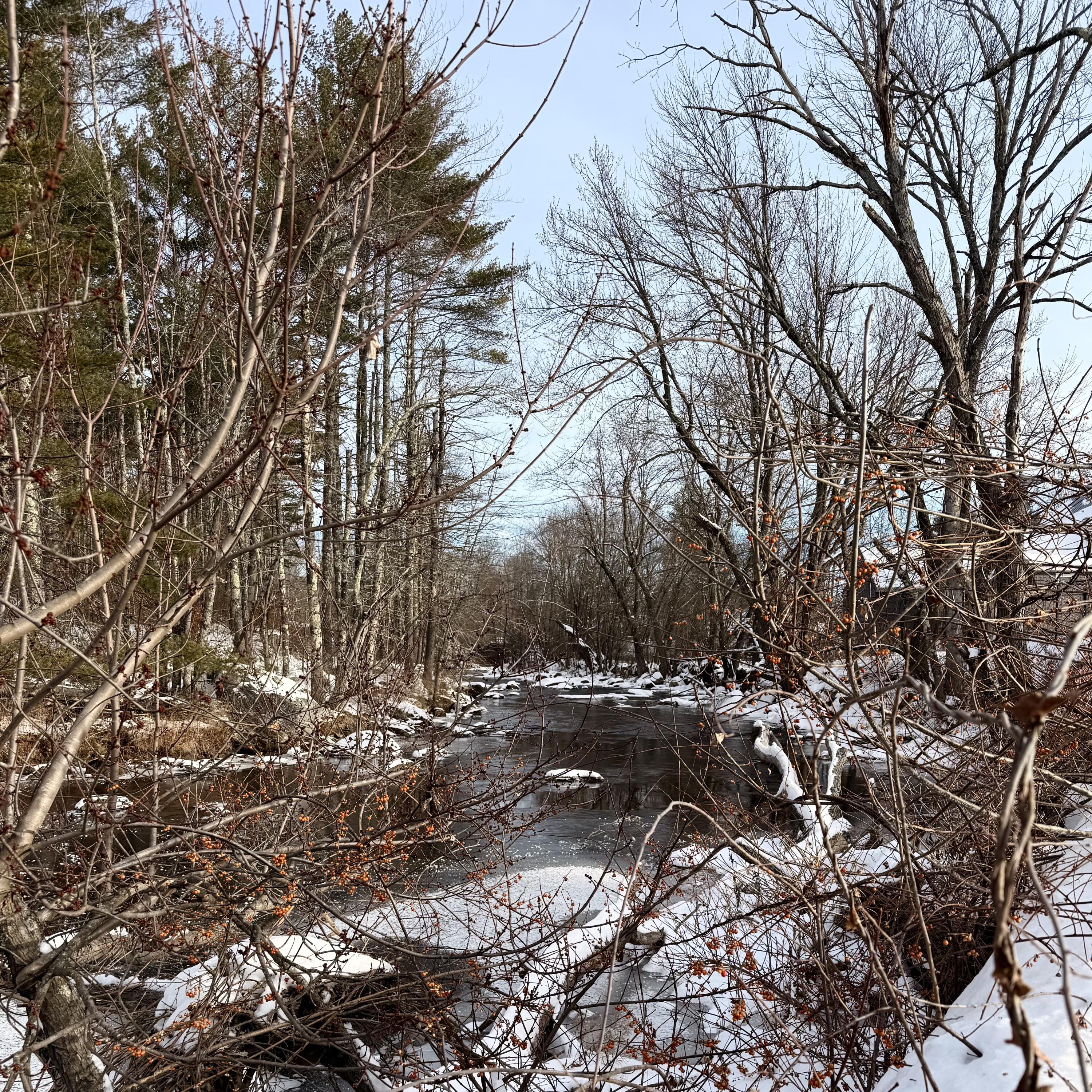 37 Depot Street Buckfield ME 04220