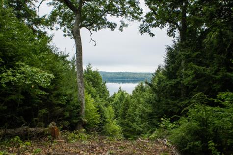 104 Grandview Drive Osborn ME 04605