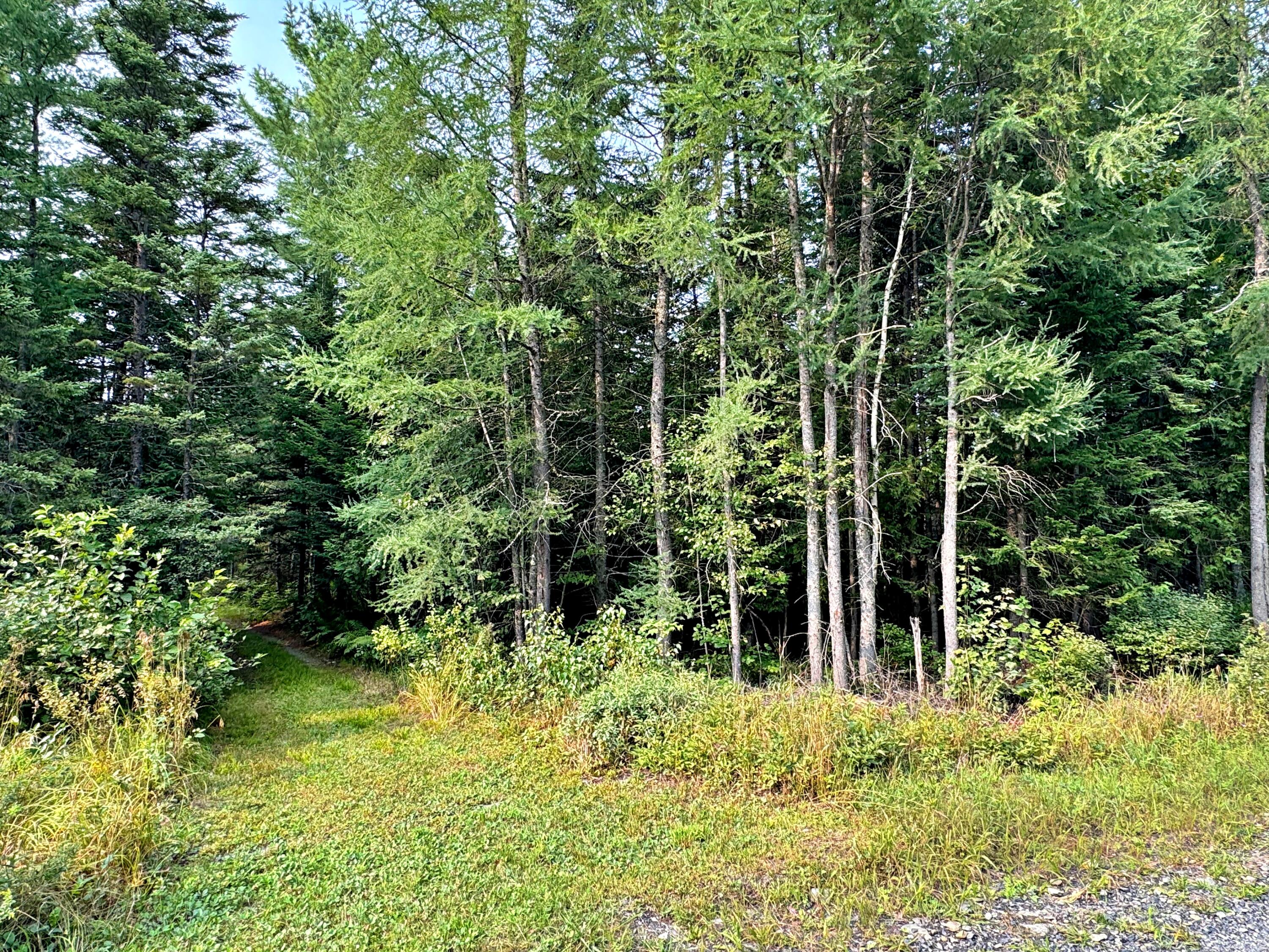 54 St John Road Fort Kent ME 04743