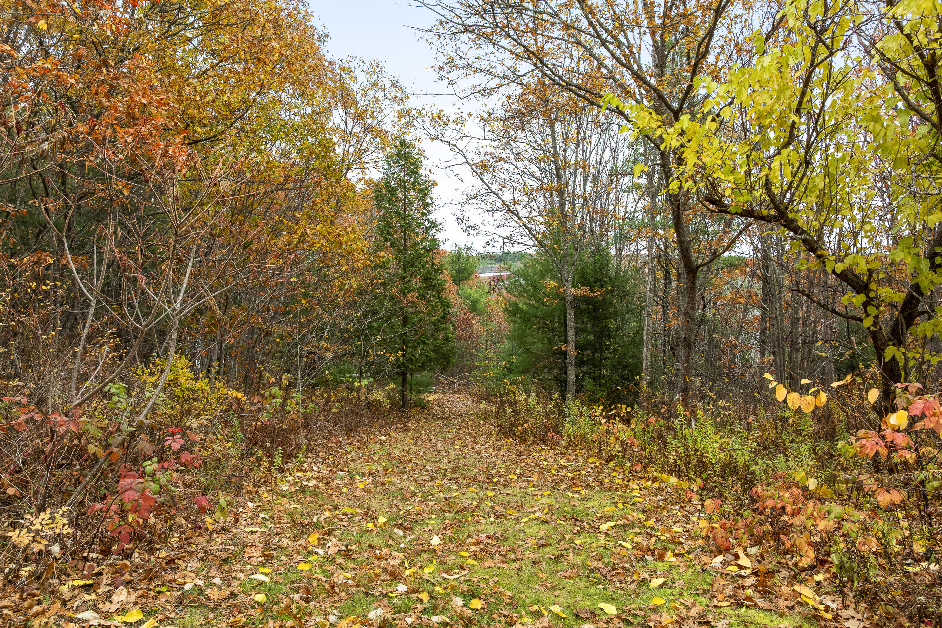 45 Harding Road Brunswick ME 04011