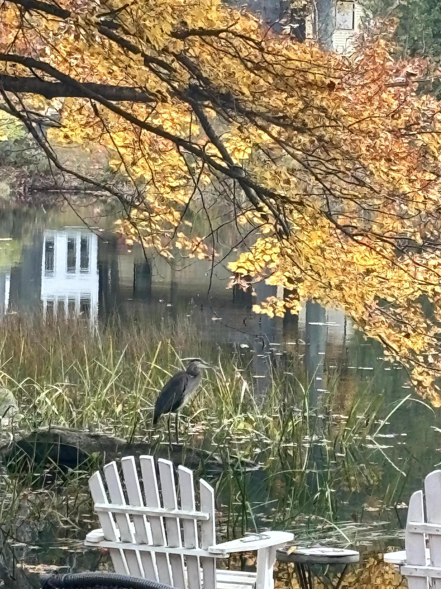 100 Albee Road Augusta ME 04330