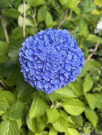 100 Albee Road Augusta ME 04330