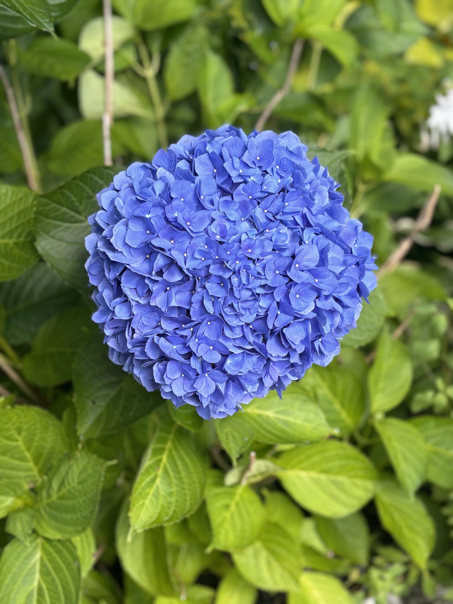 100 Albee Road Augusta ME 04330