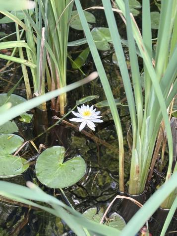 100 Albee Road Augusta ME 04330