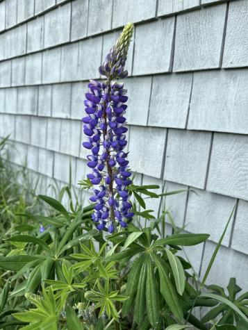 561 Bayside Road Ellsworth ME 04605