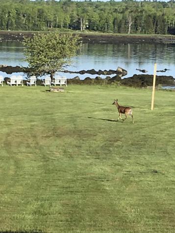 561 Bayside Road Ellsworth ME 04605