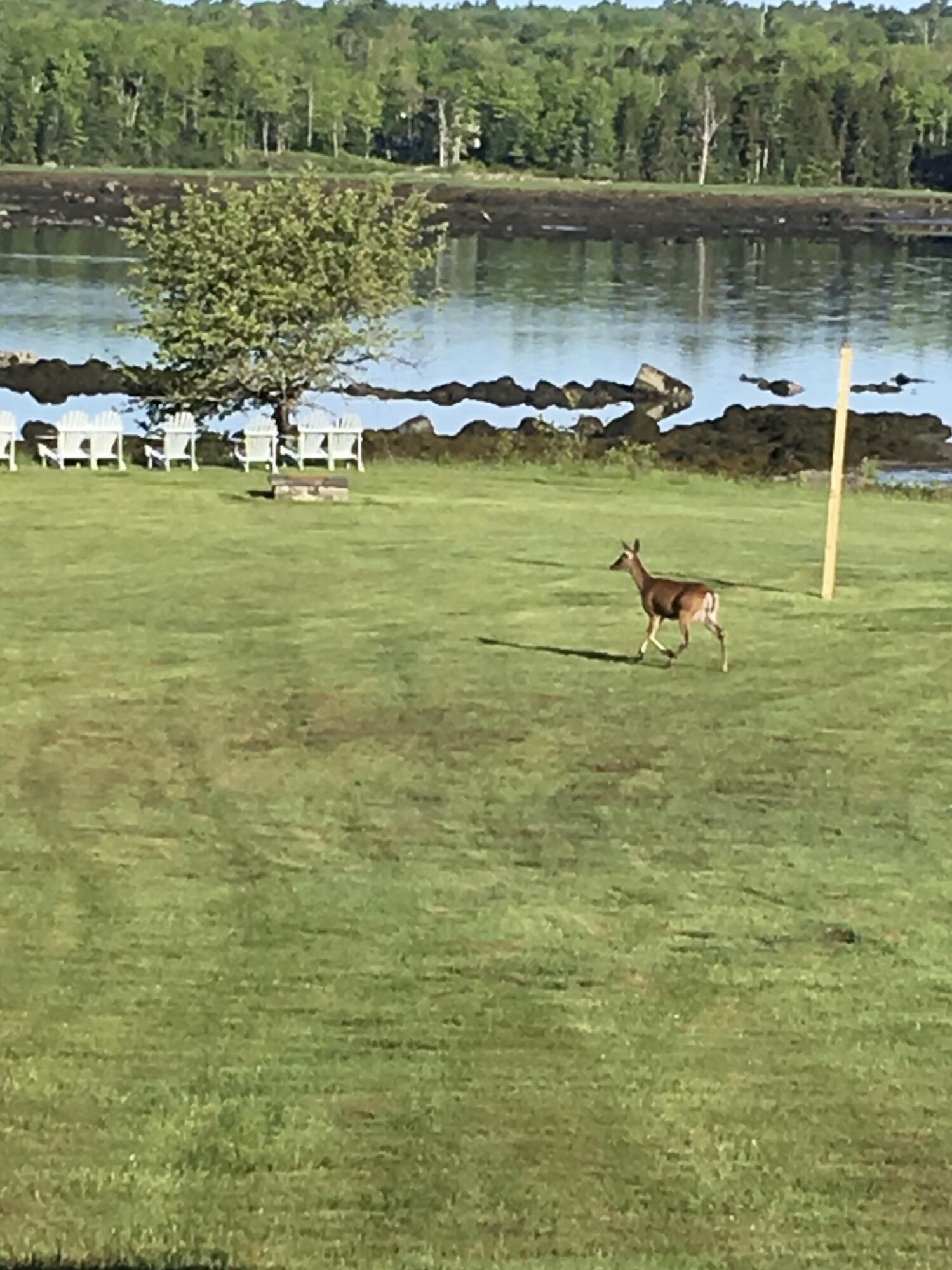 561 Bayside Road Ellsworth ME 04605