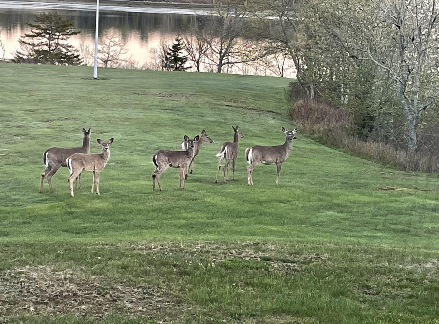 561 Bayside Road Ellsworth ME 04605