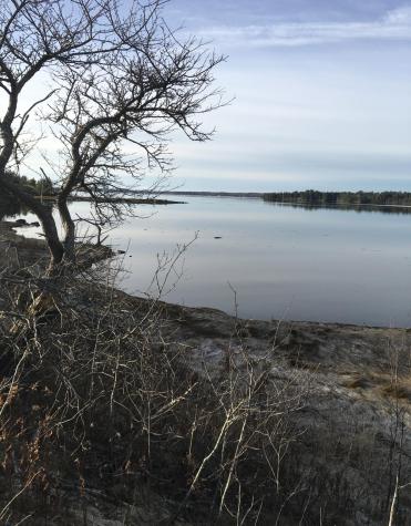 561 Bayside Road Ellsworth ME 04605