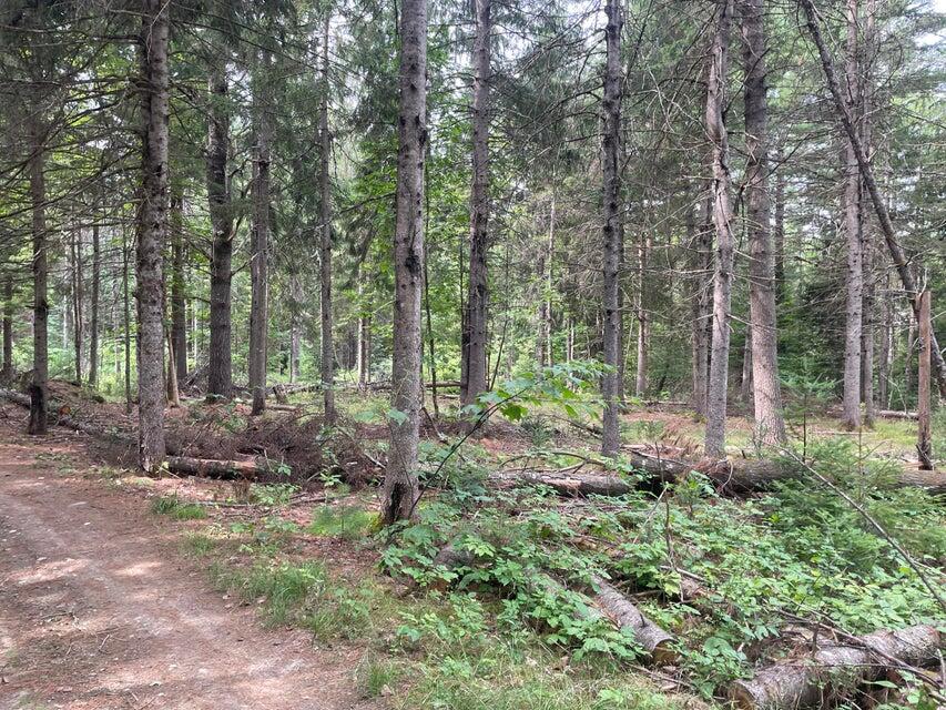 MAP3 L14 N Road Harmony ME 04942