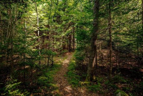 29 Town Line Road Tremont ME 04653