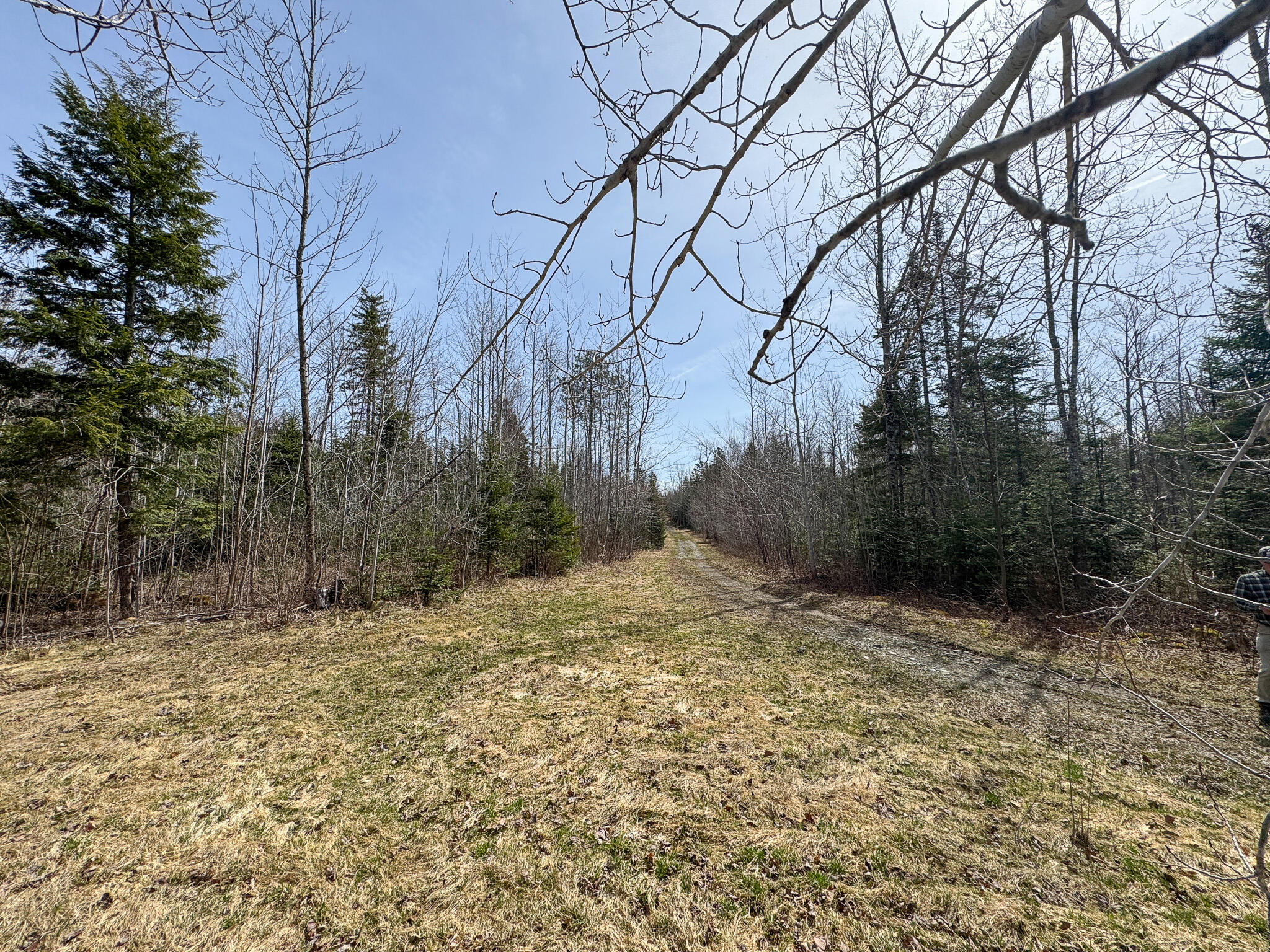 242 Bottle Lake Road Springfield ME 04487